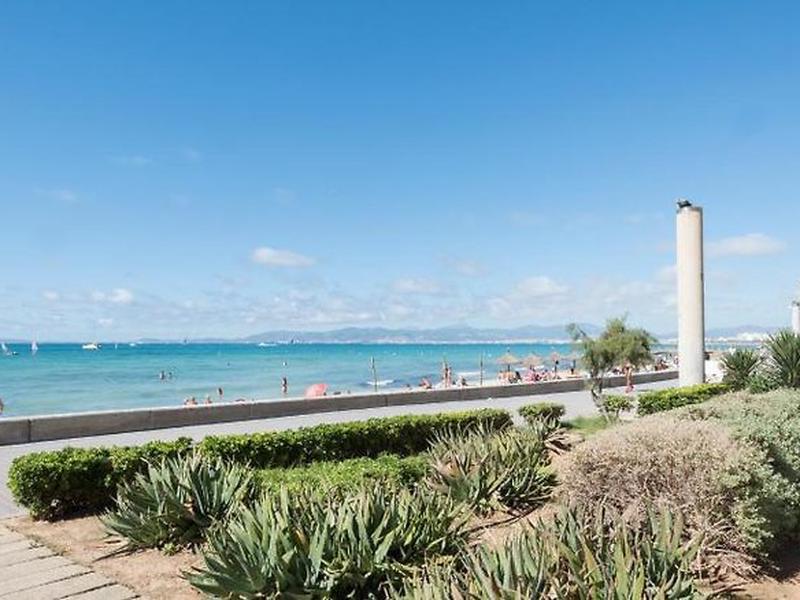 C678A432DA838ACC131C5A166FC6583F