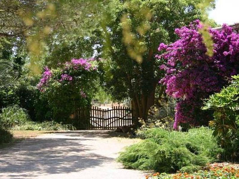 91CA4725ECB33FF4DF5DBB42682D0FE9