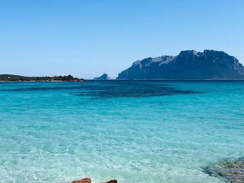 5C9A9B7C29844D06BDE0761FB20A9941