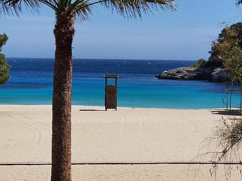 A6B6A6BC24EA2B3E4721A116FF77DAE2