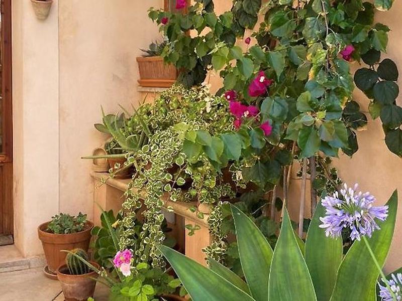 C9950EA1525788BFD41D13EDF5AA69B4