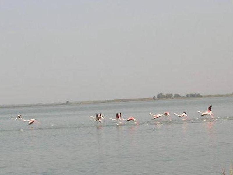 FC5425D63B52E03A4DBEF03DBFE7DBA1