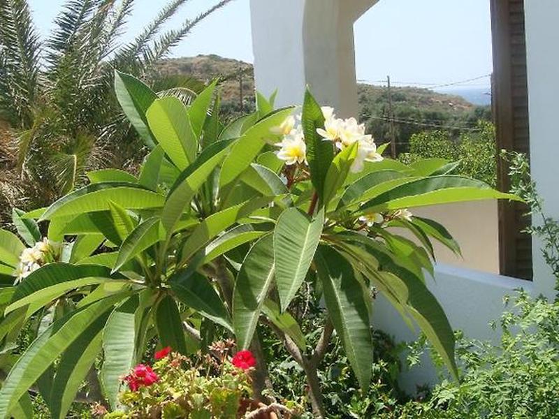 61BA814B13E4E8809CE8C3DB671A527D