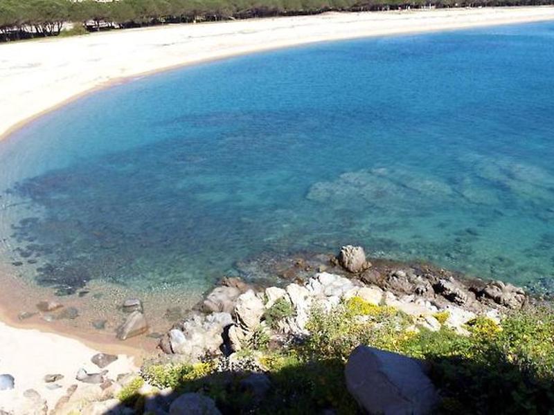 C6D0D2FC8FE6E81FBD8F7CBD1E802662