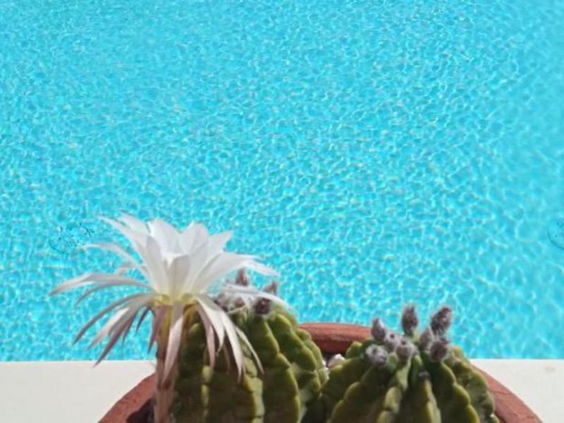 62D8D83716015A37EB1FEBB8F8880207