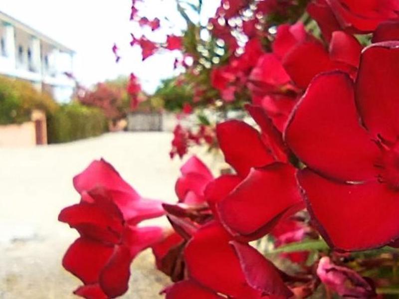 B2E3E05FD8838153417F2081A8F47749