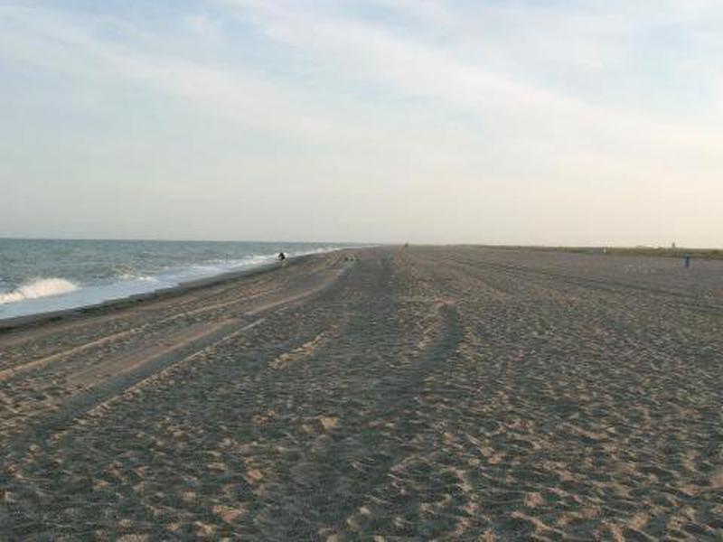 264F83B8E262CA63329D8AFCED2113C9