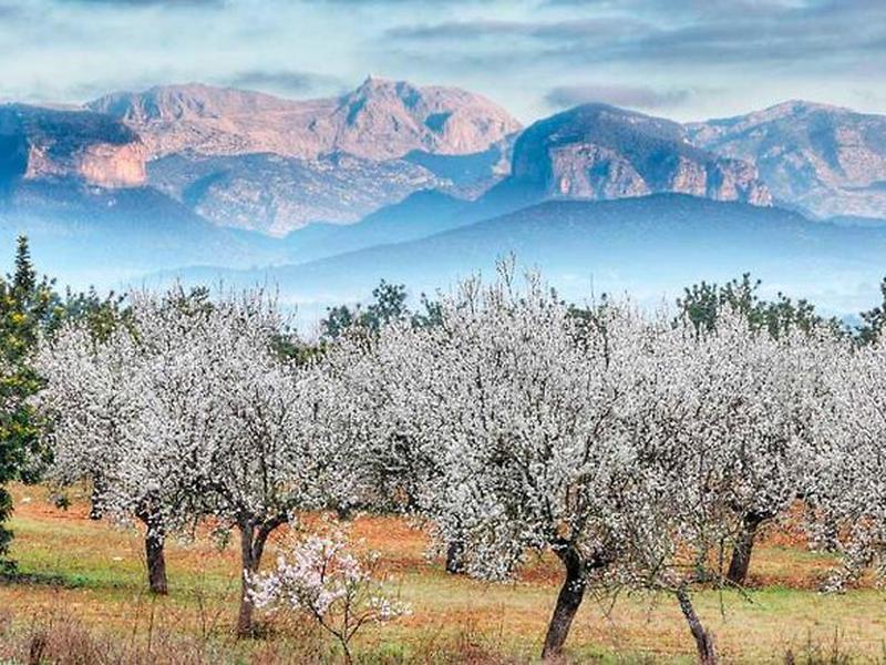 9E316E4118347EBF6BE1762E61181884