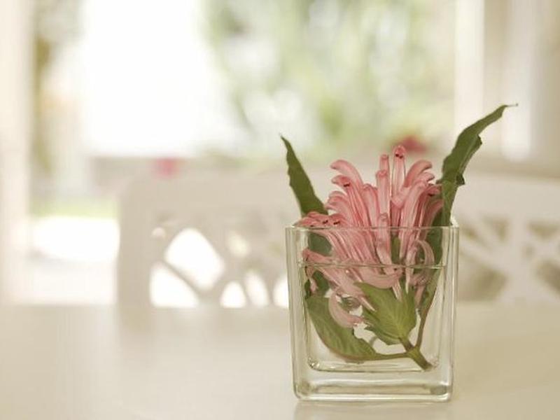 78C3B80288327798AF3E9D75EE66543C