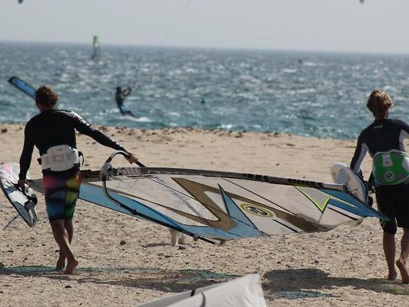 F4295E31146D1B8AEC335BA225A4E451