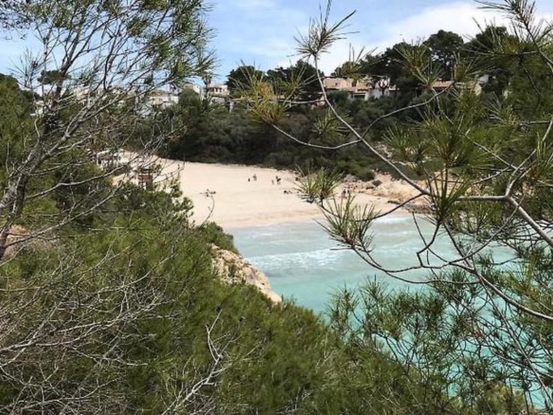 4488B45DC247C777A1AAC0C81D2F72DF