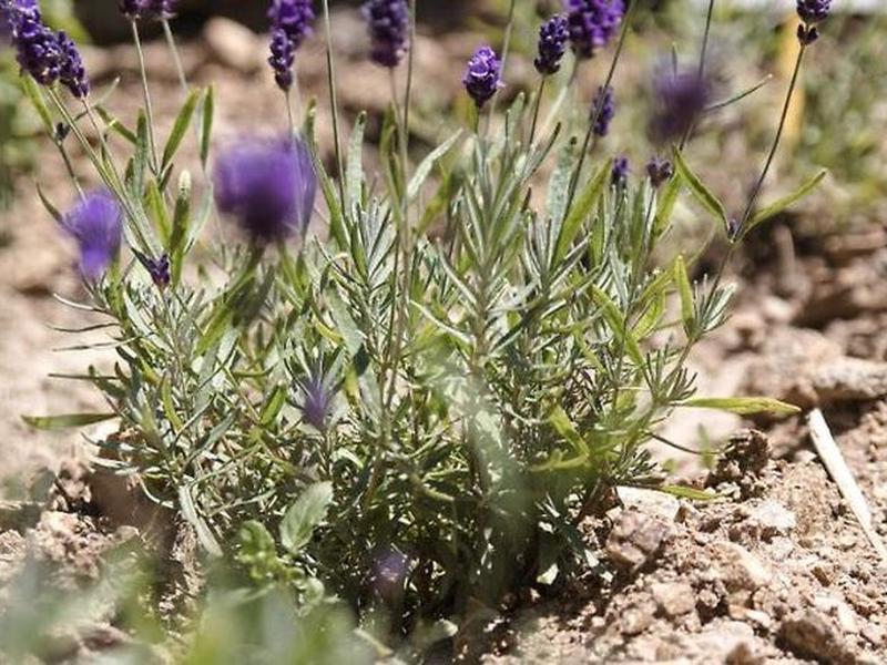 211D91DD5B9F956CD6D127FCC46DF4F1