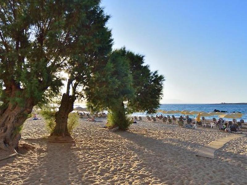 AA60AA6C017BD694EAF691ADBD3B4D08