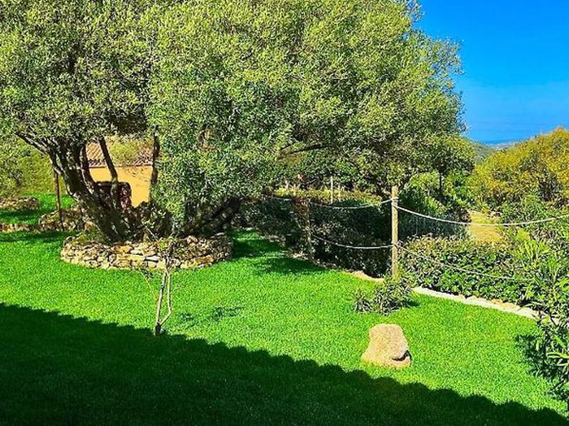 95BB1FBE11C533511EFEF53373952998