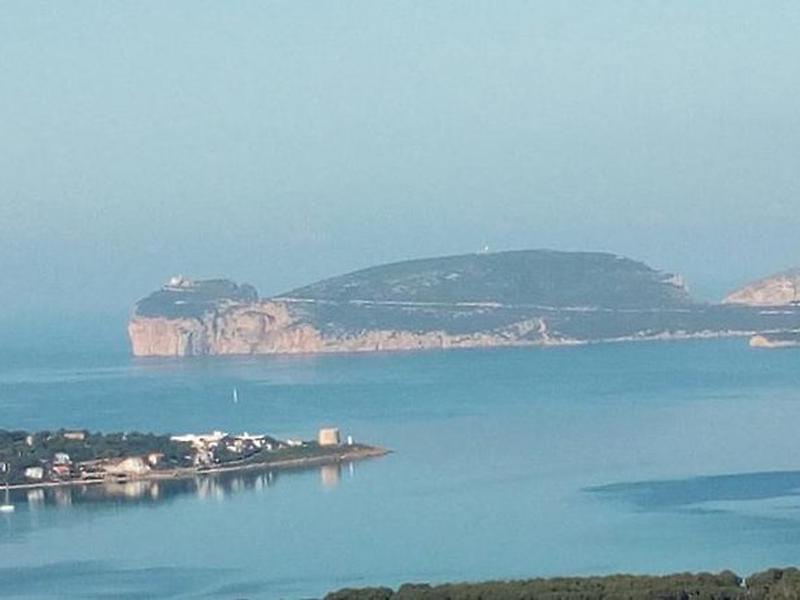 ECA96EFB48A3AF5E00E3CC29B3FE2010