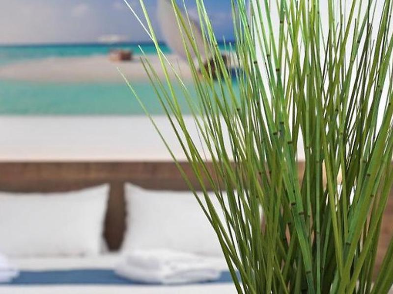 5923F54E0E88DEDC540BF3B9E78EC44B