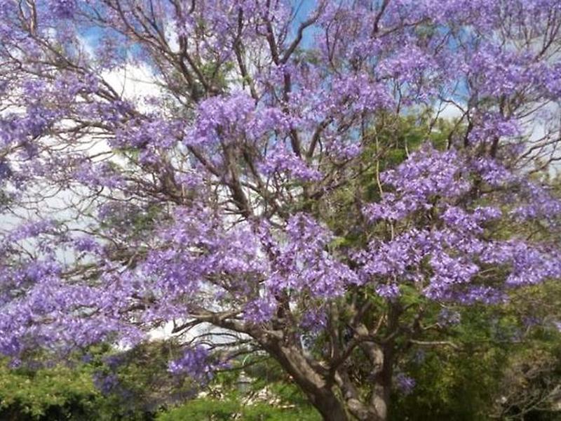 76FAAF69980F76BD31E0F84D045A96E3