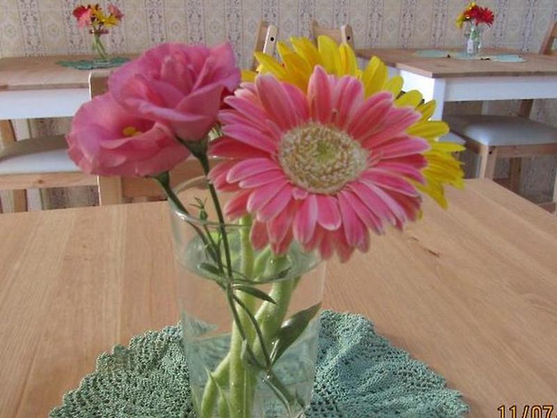 7D436DEE9F1EE9F9306B362F1D49A403