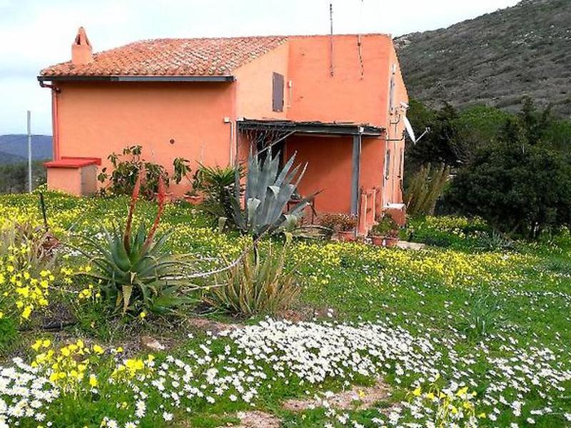 A8AE58CD47FB8D0A81644D898BD2BF8B