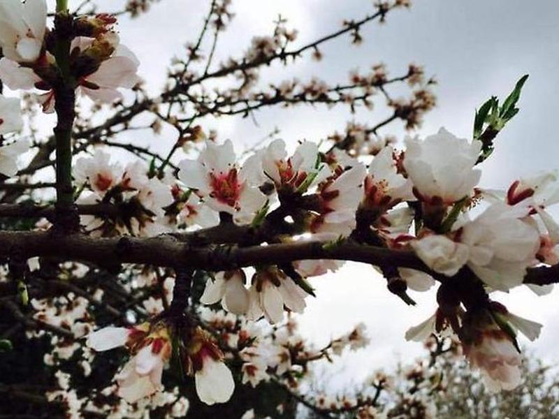 F2D9952C359F1A50C8E0EB13F0F7C1E1