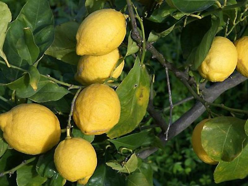 0BE4FFCF14850EE37E55BAA06EBDCDFB