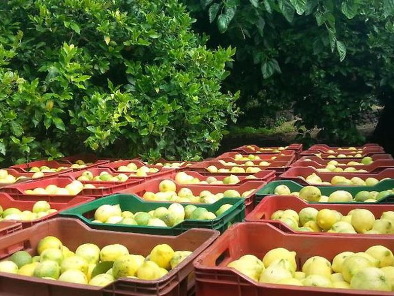 41CB0D72E6EEE22F77D1CE3DC22D867A