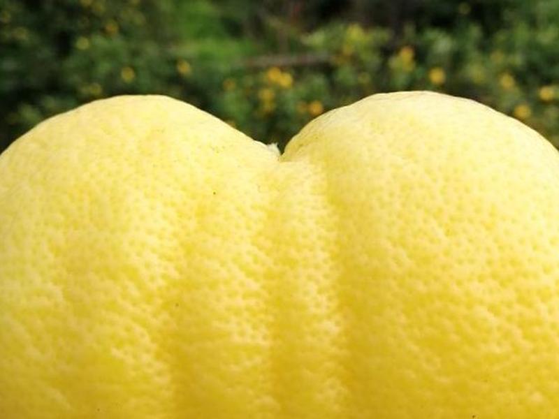 57BD03FEB443450A657A4FE7CEC3913B