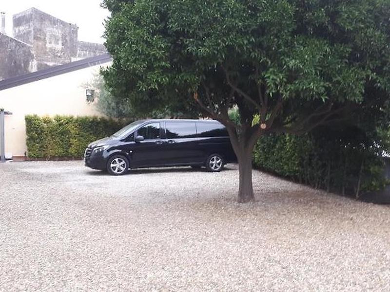 86F027D2567819647C7422D62B82E81F