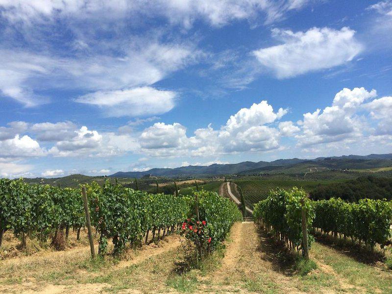 B04FE929840486EABD502635524E742E