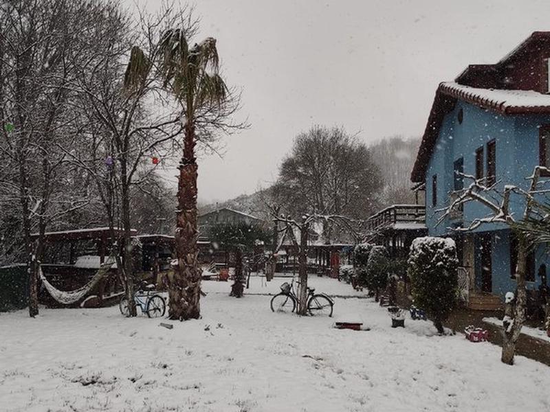 C24B2E7529F0FC548DE1590561A9B930