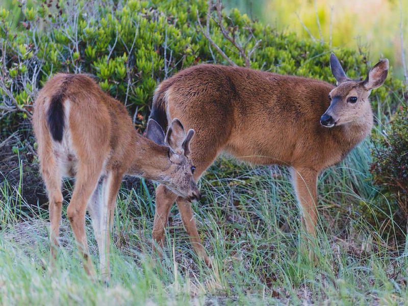 17CA7FE04D6E2CABCD80C071C943469A