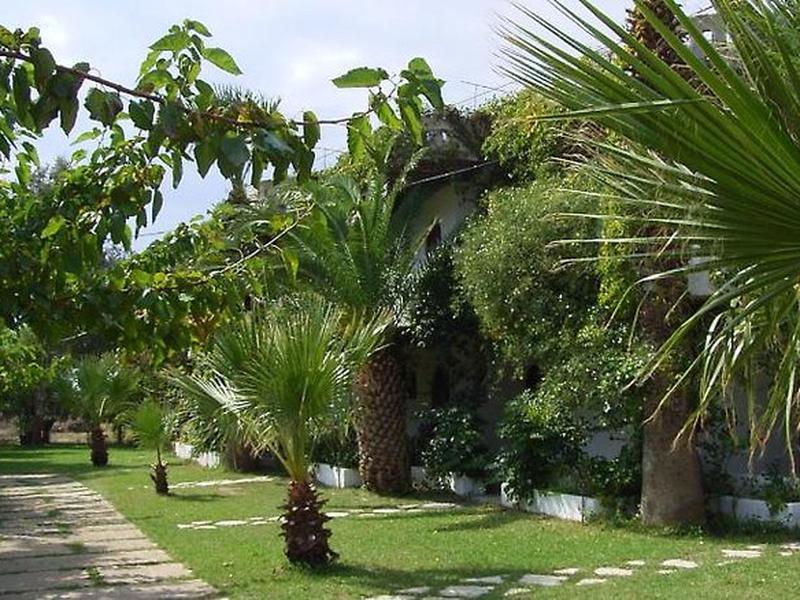 599AF34BCE96E398BA3C8FEE011C371A