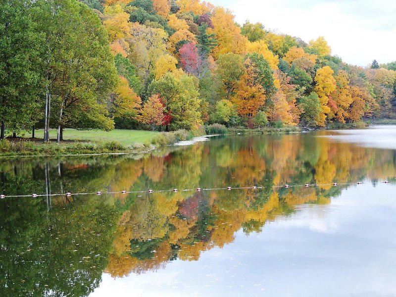 8FD7FC23AB9DB54AFD44C680DE46728D