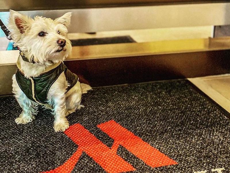 0A9FD9E0AFE00FF07D72273CC1CD8E08