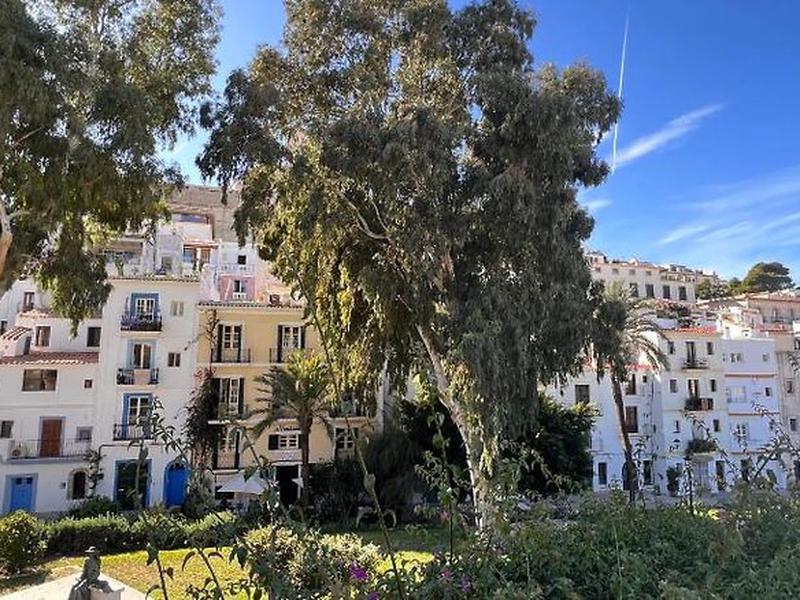 C773DA2411F218AF77AECCB9BDBB6ED6