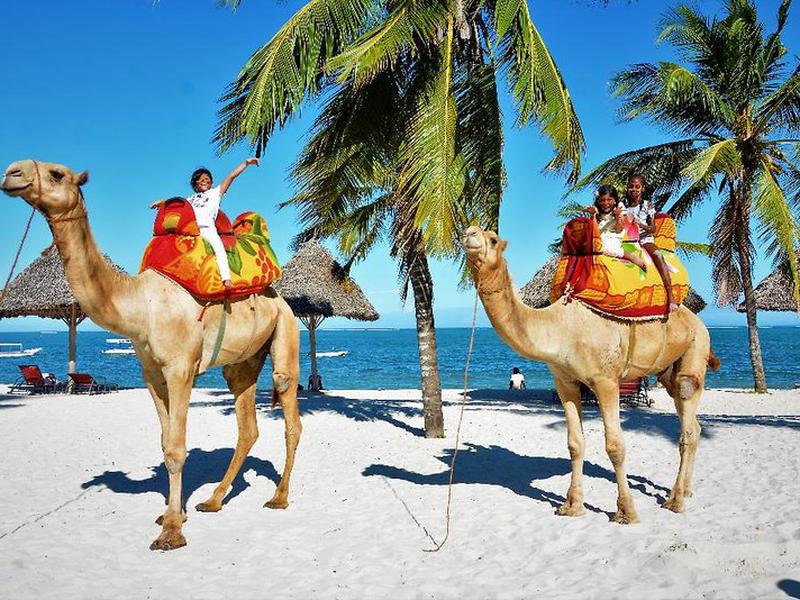 68CEC4DF766A402662BE5595604D5CC6