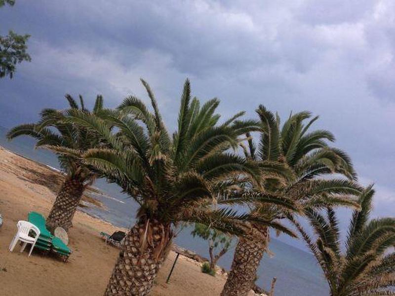 FF161592D3AF825FBFB371B6F4AB1F84