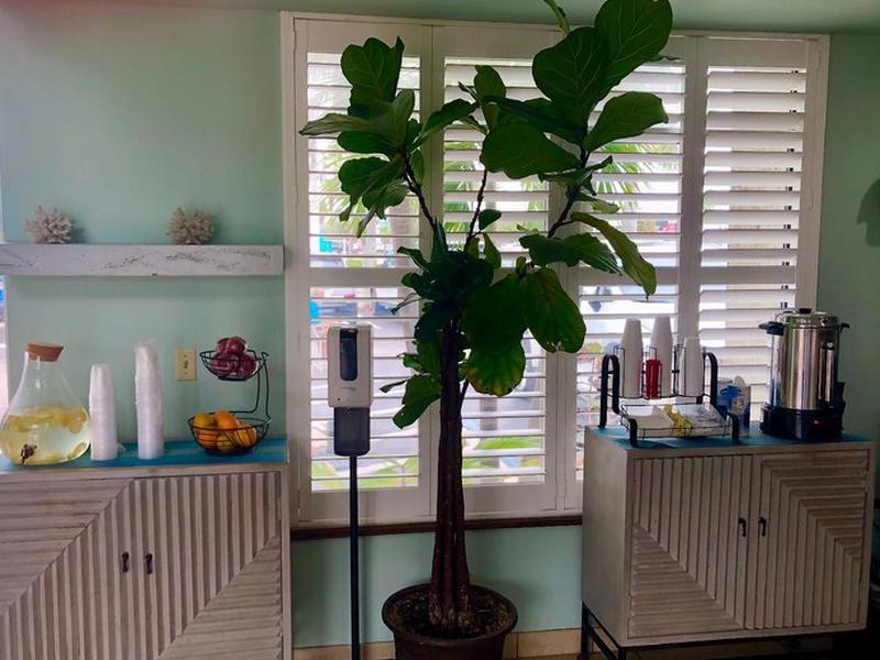 6C7B6156F28AE40483648D7A8D68084E