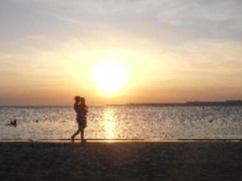 8FF593C460D4E492EEE53386E72E75E7