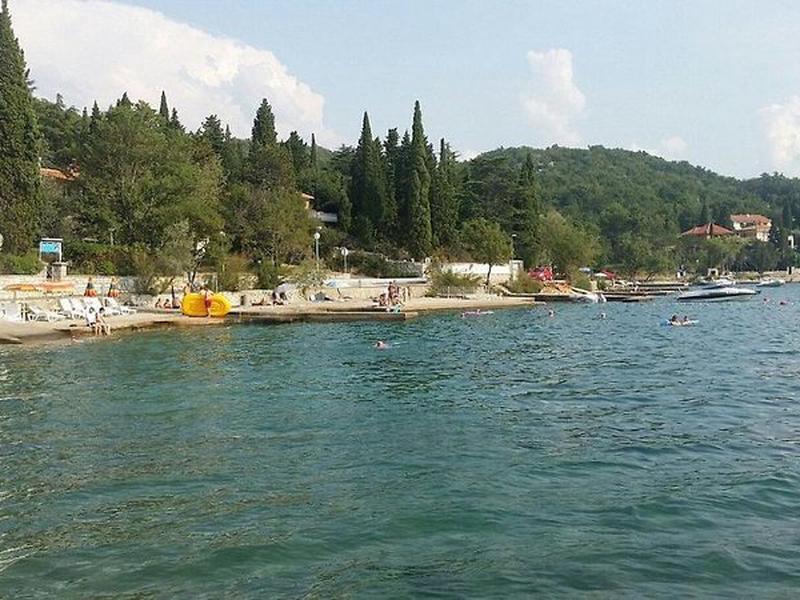 773AE453E9035B4812065B542DA3B8FE