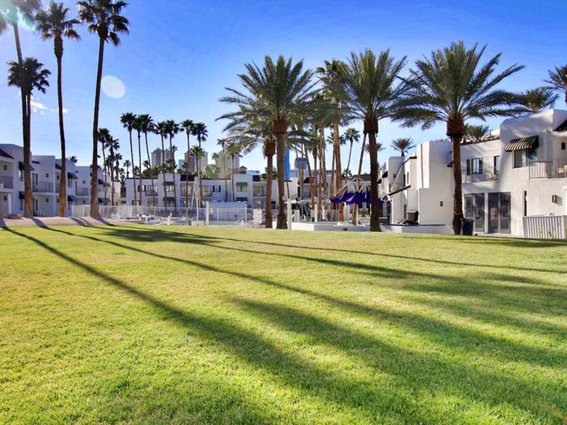 5C8D7F850FC6E2C24FF7960E53E7BE41