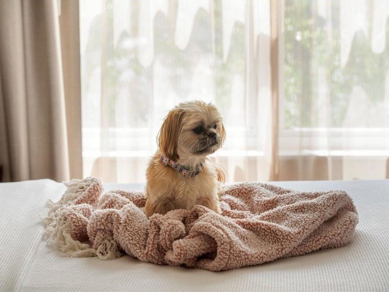 93ED8408FC269D53819DBCF25C8525C1