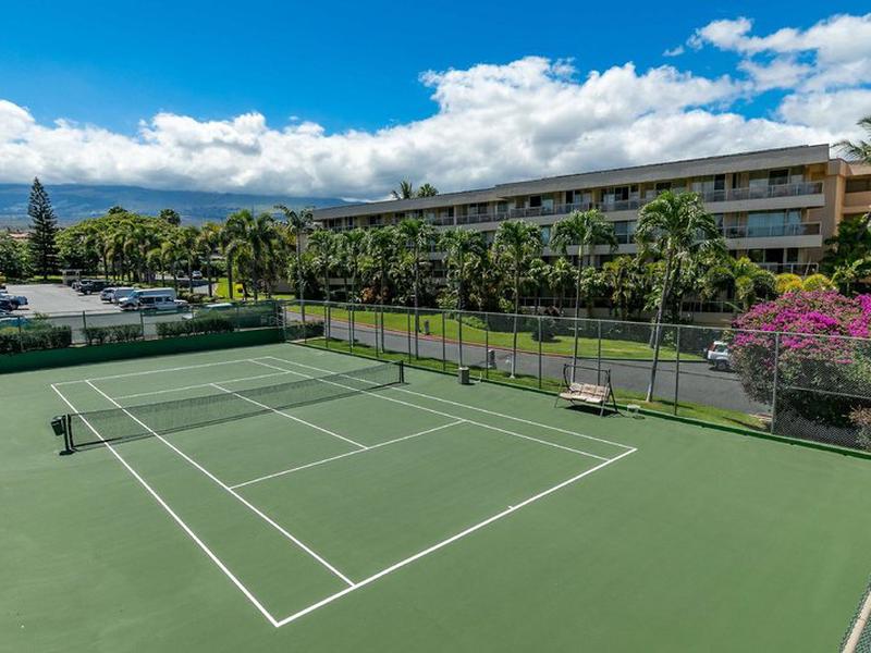 FE367E62D0260396D054C4D587169A2C