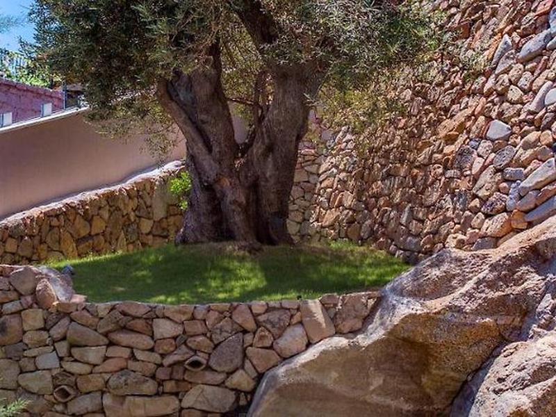 8580060AF53F8A59EA50148D7E86C9AB