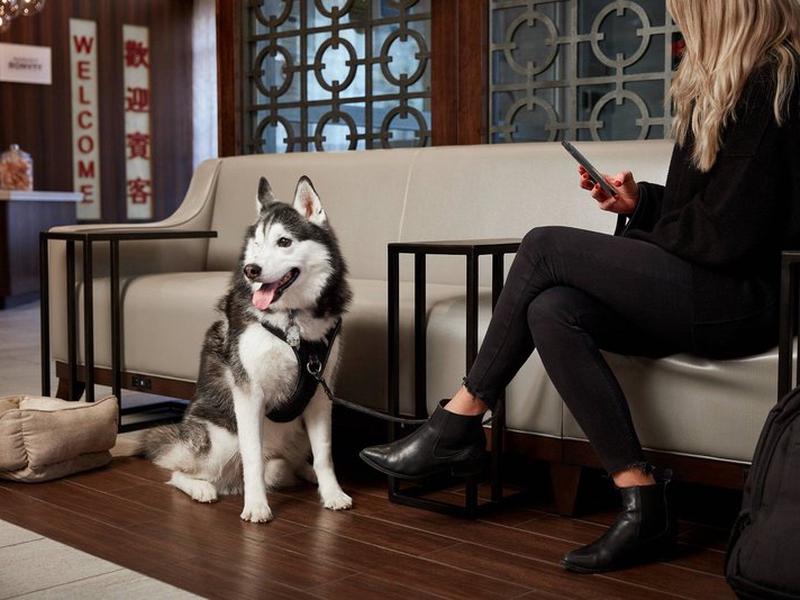 695F9F0A0B06C2620C1B2F1D1C283D97