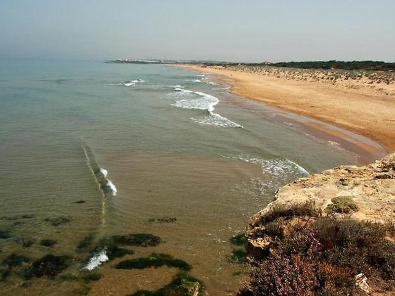 2D38412488D5BF7AB27461FBBBDBBB9A