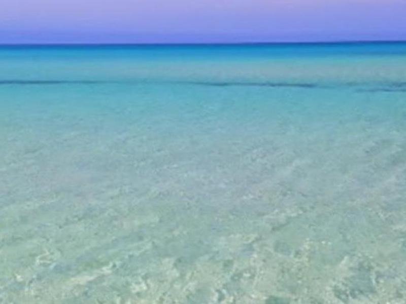 F3718A84950F3424BE53759CA3B7F326