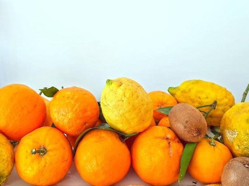 B9B6CA7ECEA8899AFADC68C8F20488F3