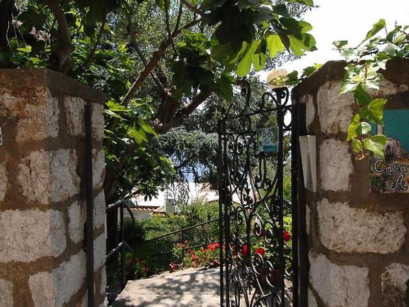 067F8581DDD94F957E78301E5F72A50A