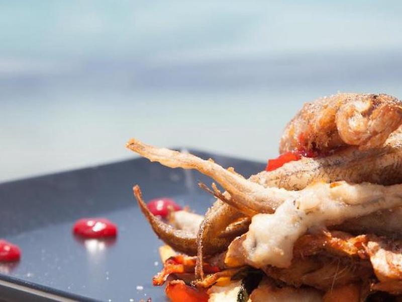 1B8461AAD11DD97026142575563A7454